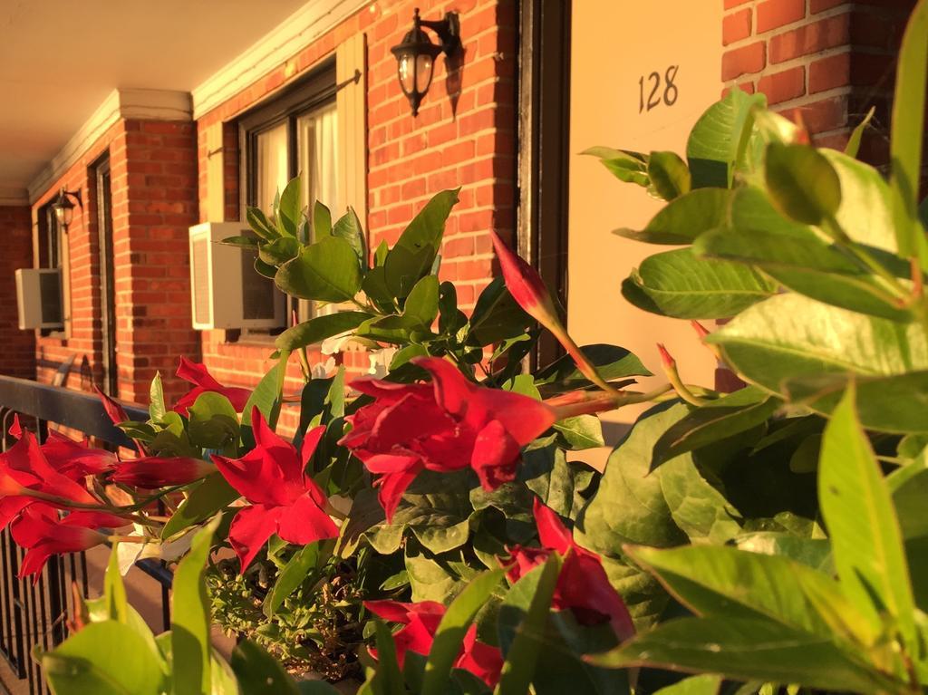 Motel Du Fleuve Brossard Ngoại thất bức ảnh