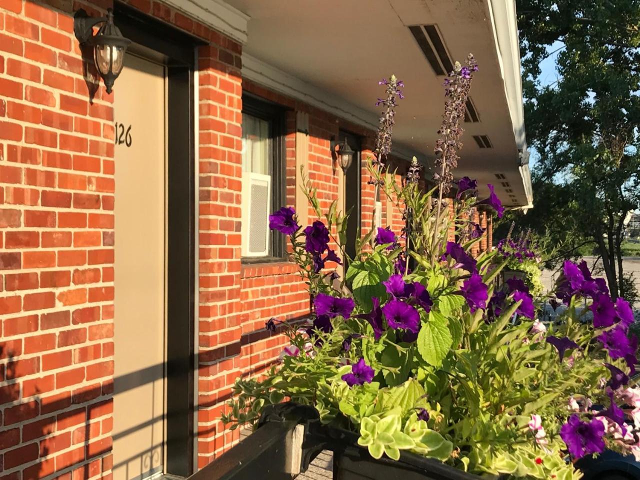Motel Du Fleuve Brossard Ngoại thất bức ảnh